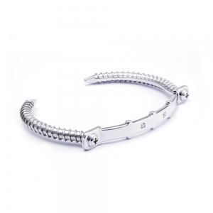 Diamond Silver Bangle (Strength Of Spirit)