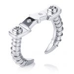 Silver Ring ( Strength of Spirit )