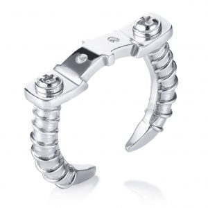 Silver Ring ( Strength of Spirit )